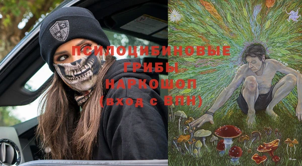Альфа ПВП Елизово